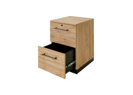 Abbott-Two Drawer Mobile File-Open Drawer