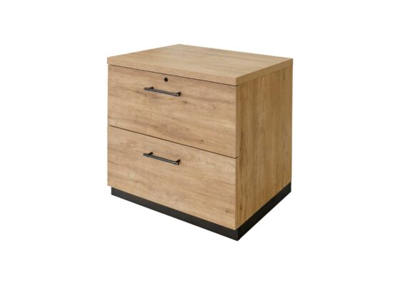 Abbott Collection - Lateral File