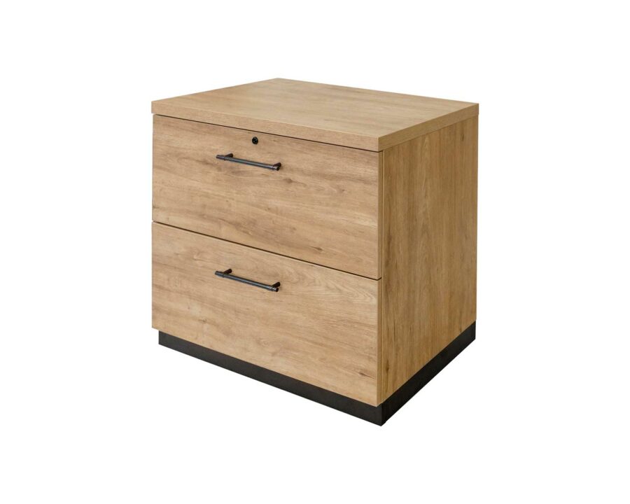 Abbott Collection - Lateral File