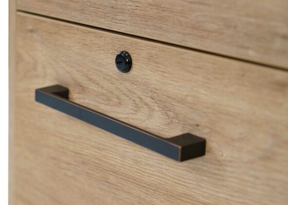 Mason in Monarca Rolling File lock detail