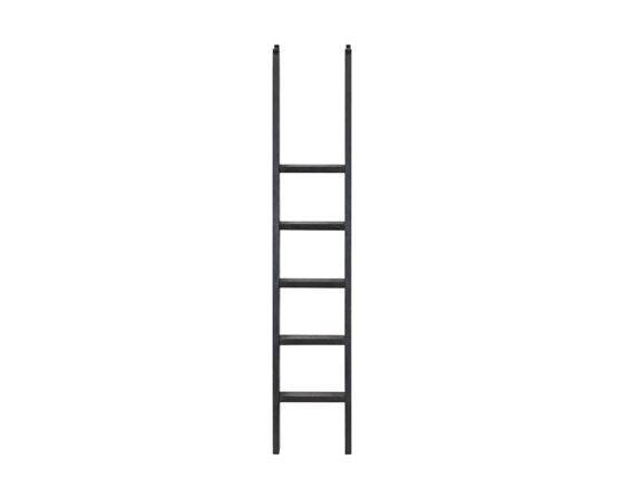 Willow Lane Black Bookcase Ladder