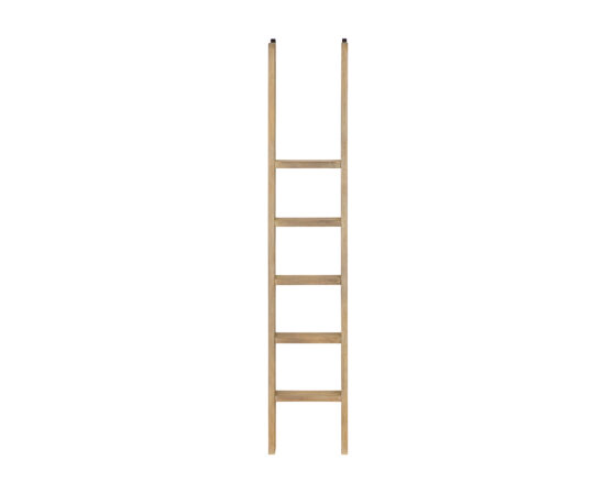 Willow Lane Natural Oak Bookcase Ladder