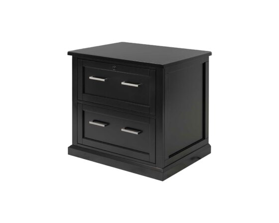 Abby Black IMAY450B - angled