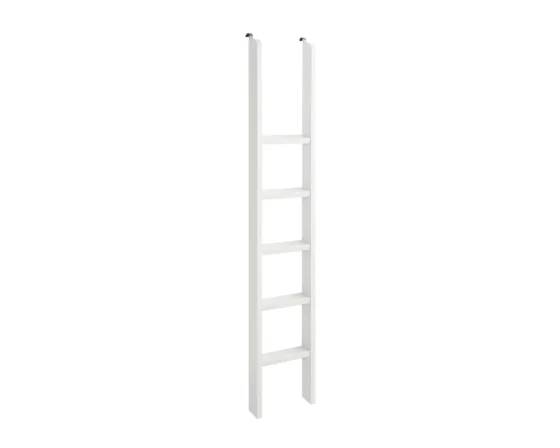 Albany Ladder IMAL402
