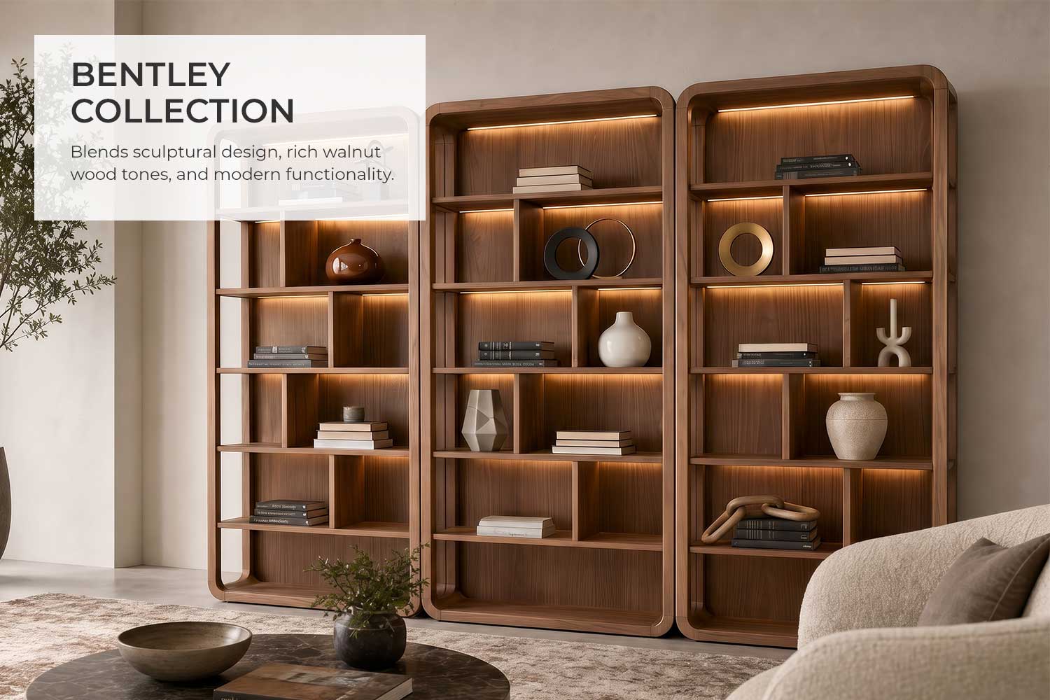 Collection Header